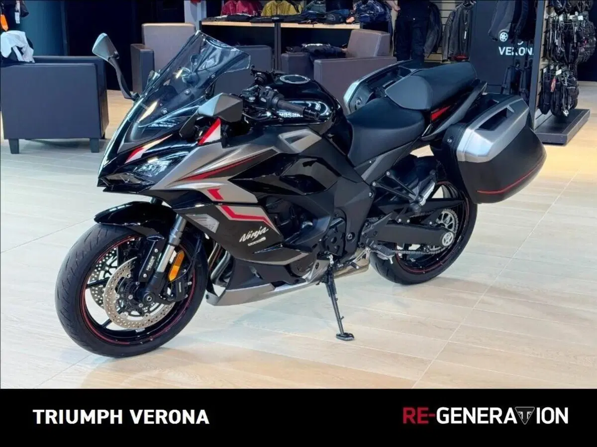 Kawasaki Ninja 1000 SX (2021 - 24) (4)