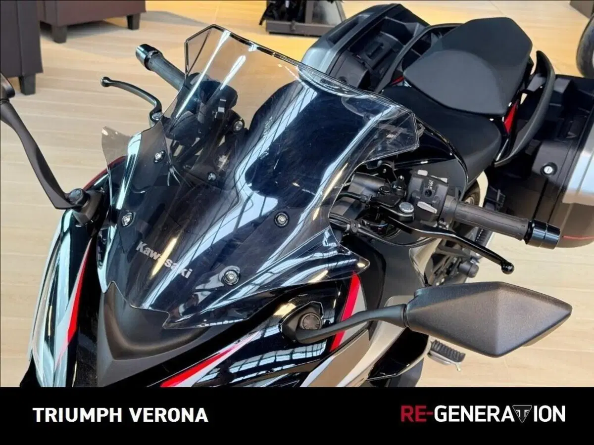 Kawasaki Ninja 1000 SX (2021 - 24) (11)