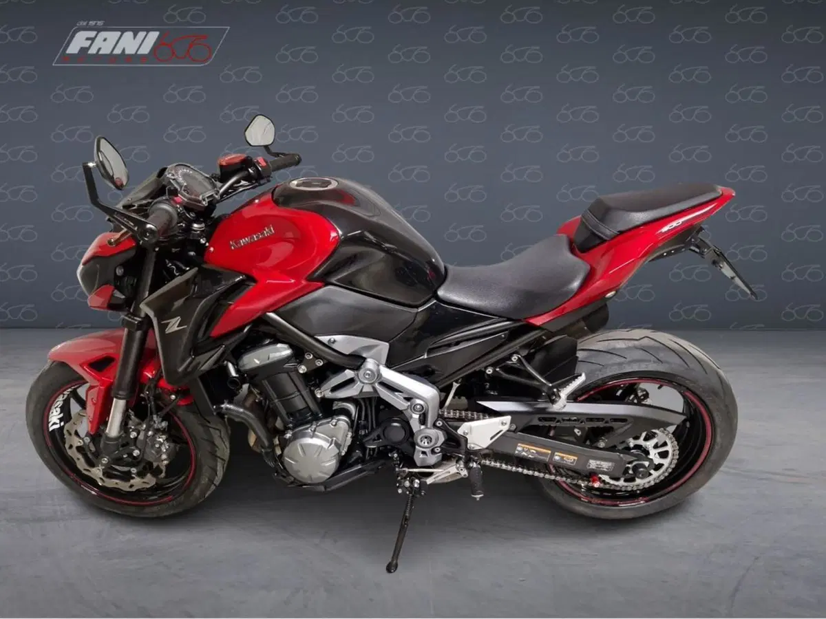 Kawasaki Z 900 A2 (2019) (2)