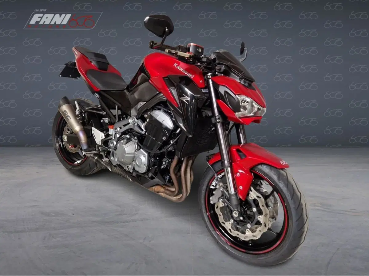 Kawasaki Z 900 A2 (2019) (4)