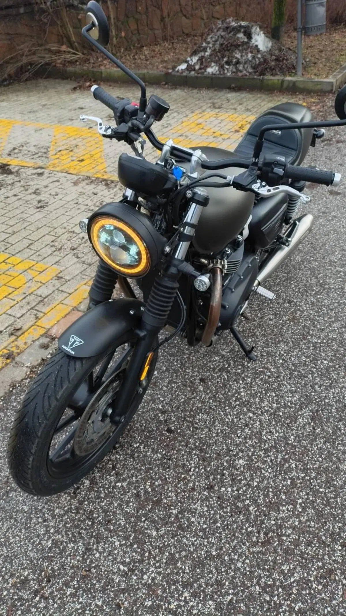 Triumph Speed Twin 900 Chrome Edition (2023) (4)