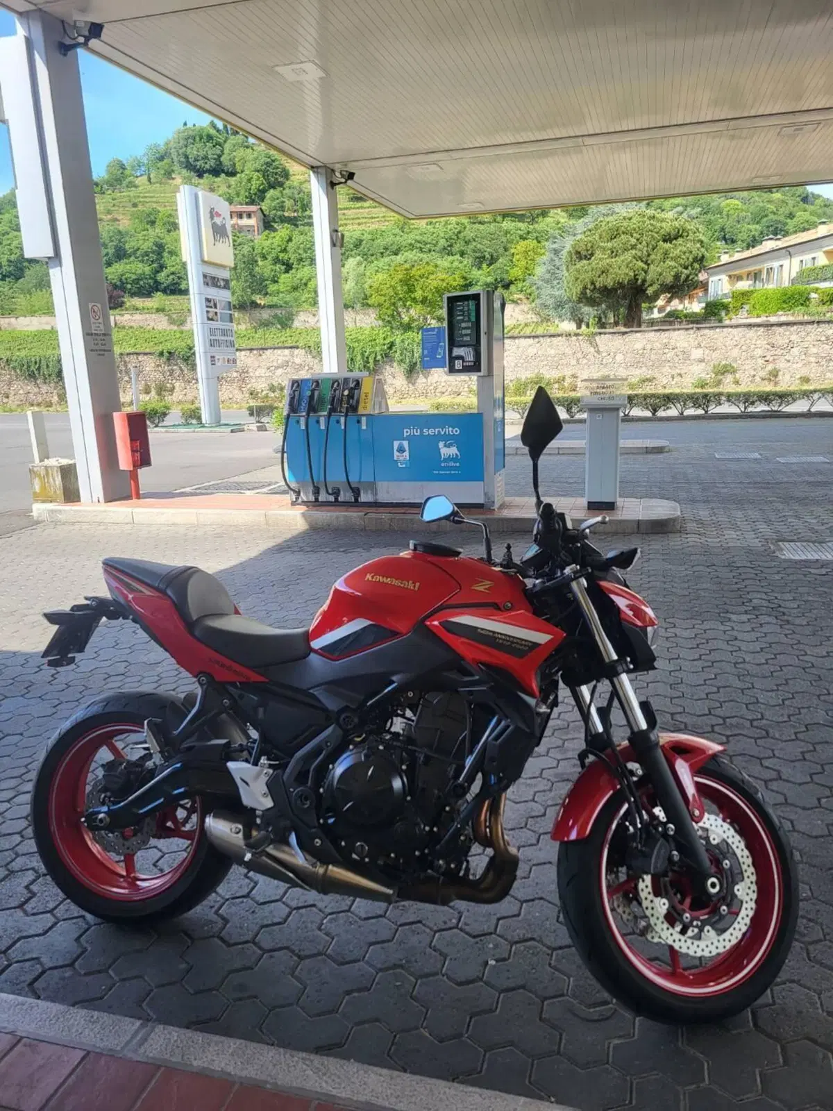 Kawasaki Z 650 50th Anniversary (2022 - 23)