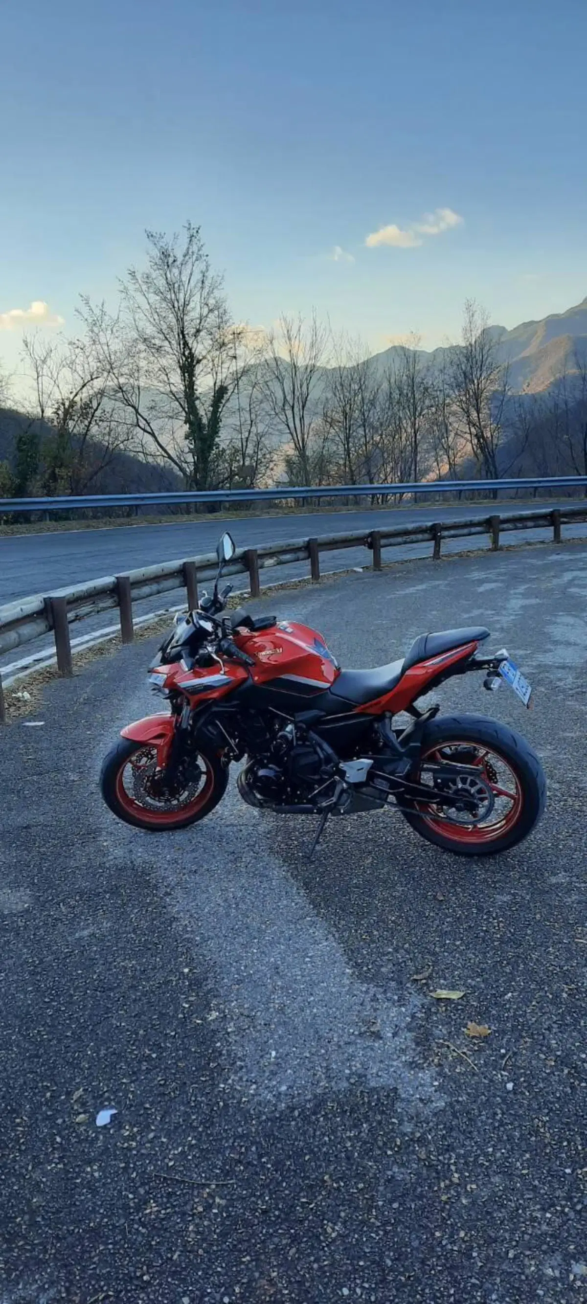 Kawasaki Z 650 50th Anniversary (2022 - 23) (2)