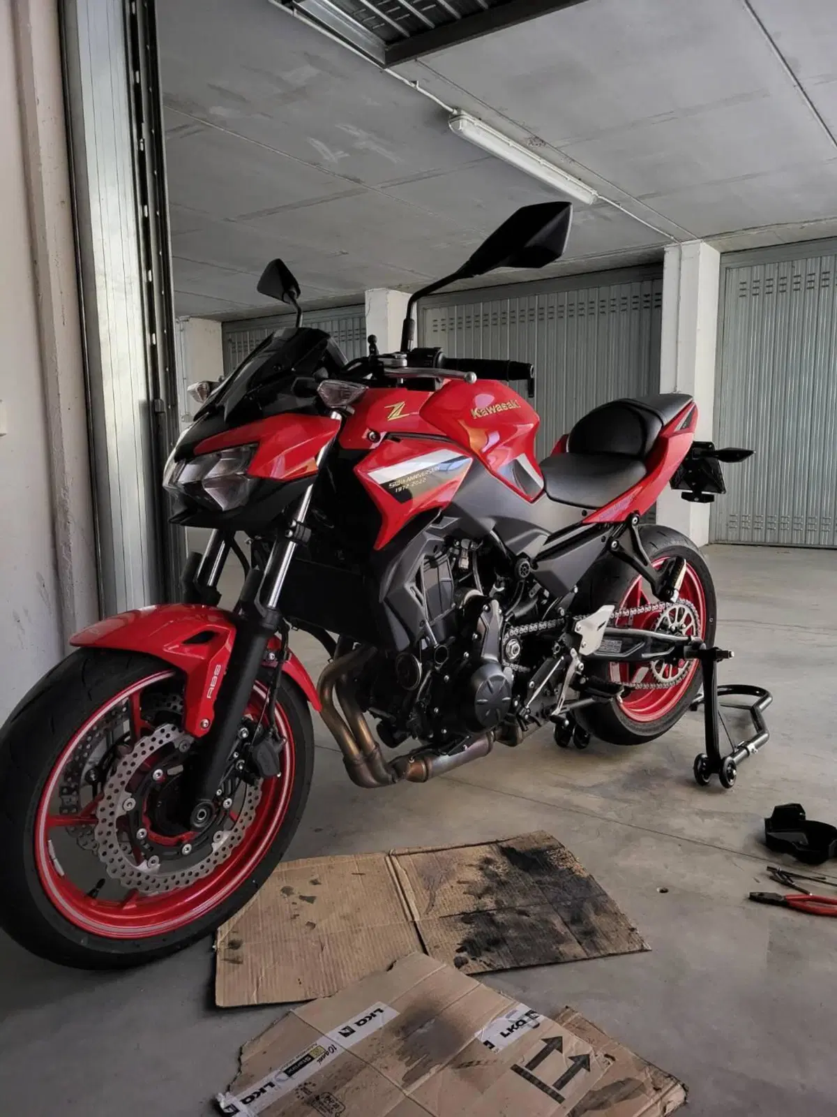 Kawasaki Z 650 50th Anniversary (2022 - 23) (3)