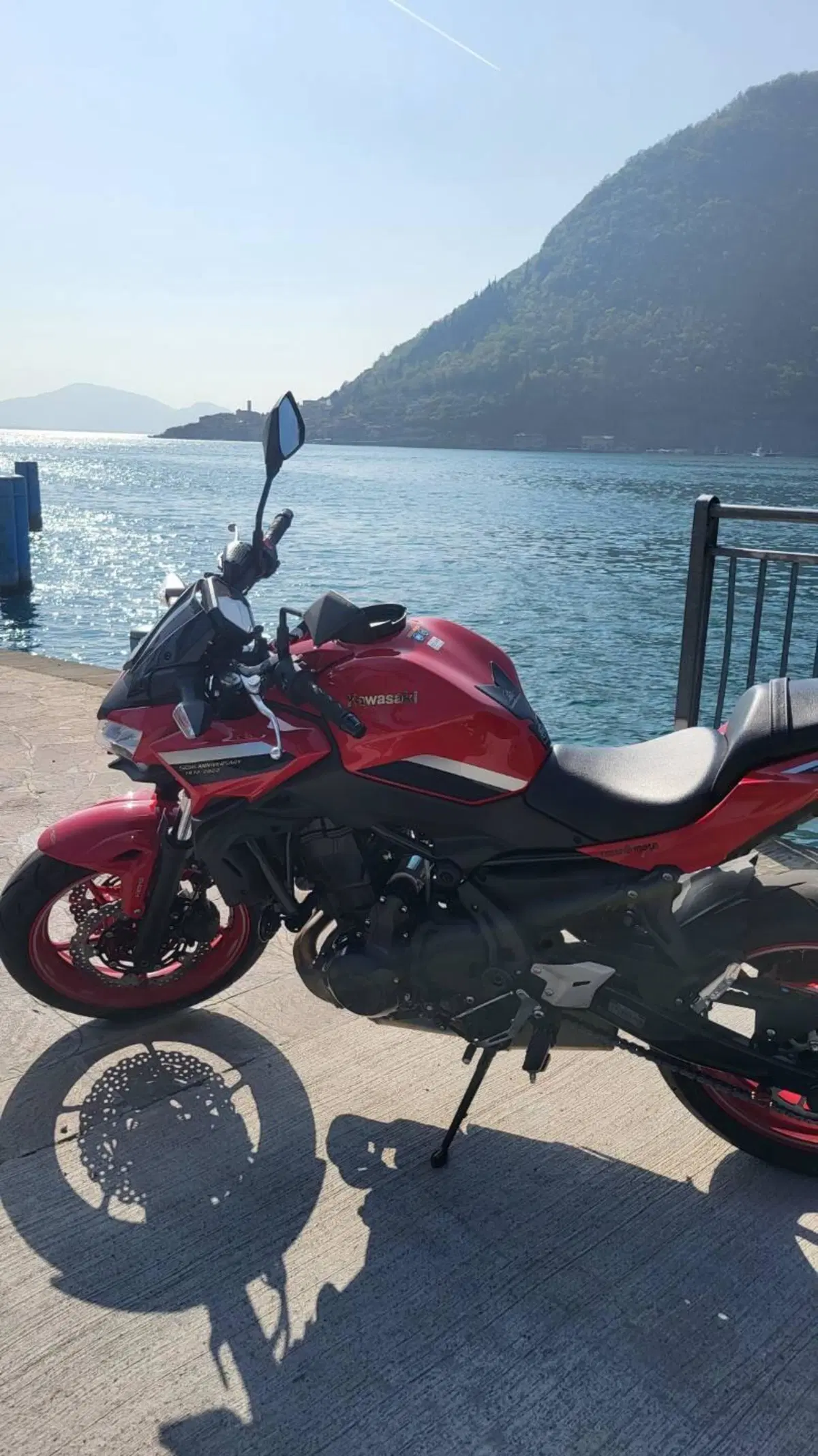 Kawasaki Z 650 50th Anniversary (2022 - 23) (4)