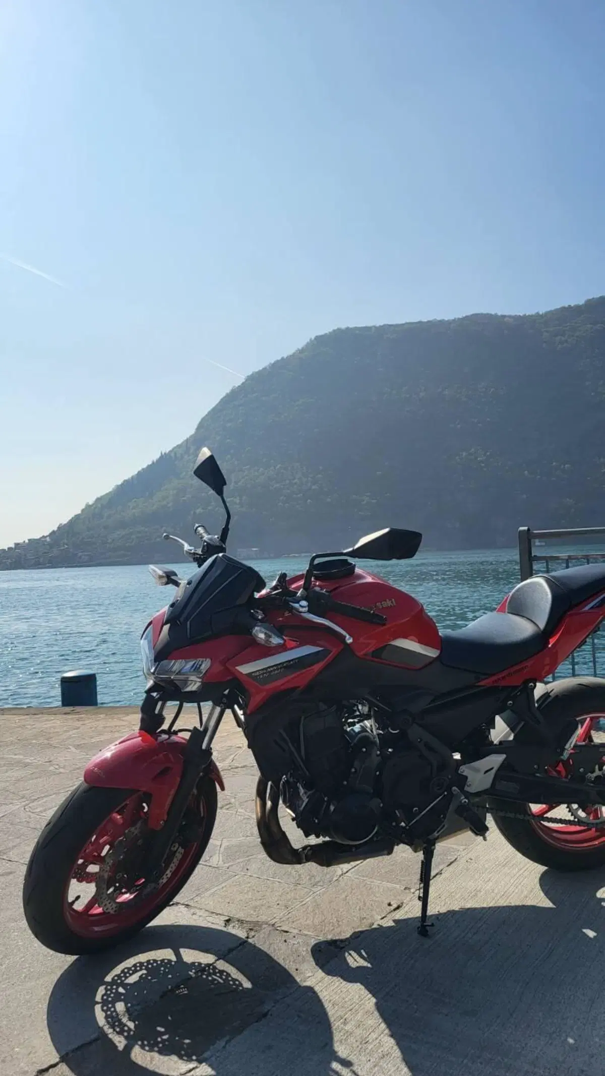 Kawasaki Z 650 50th Anniversary (2022 - 23) (5)