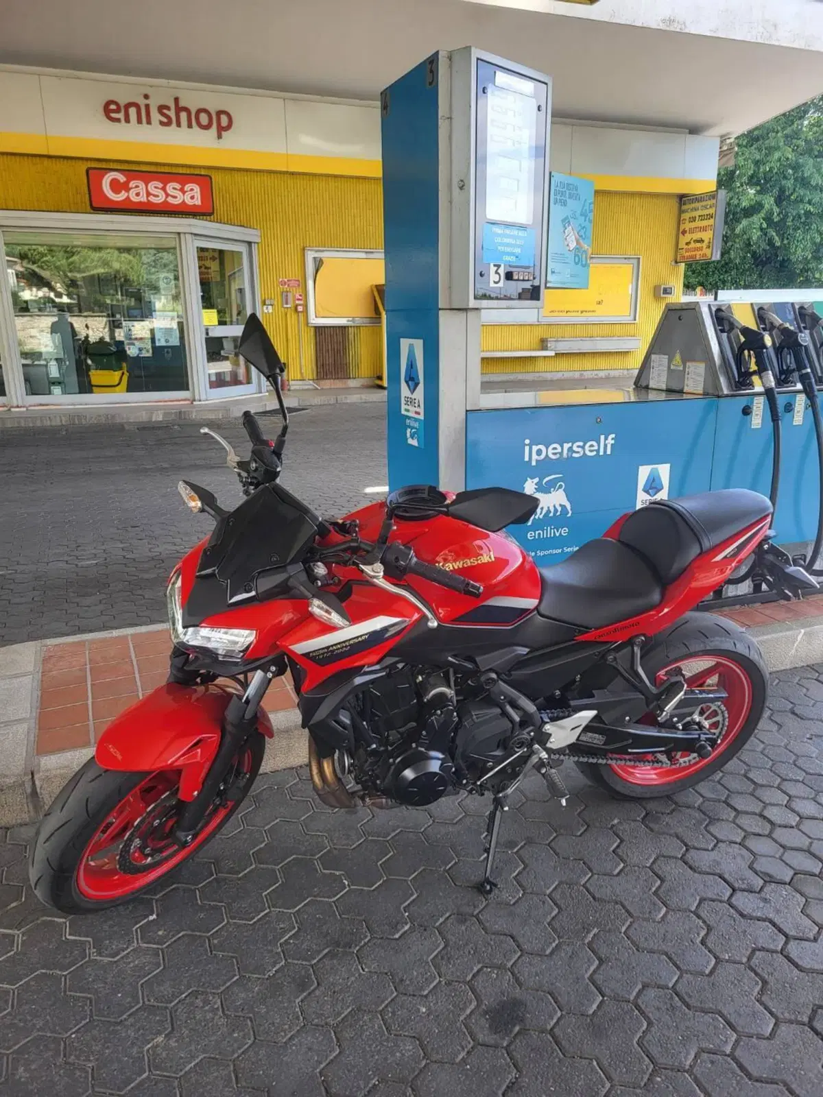 Kawasaki Z 650 50th Anniversary (2022 - 23) (6)