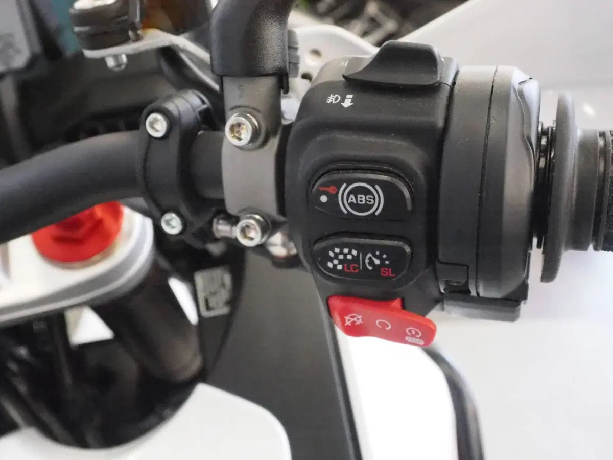 MV Agusta LXP Orioli (2024 - 26) (8)