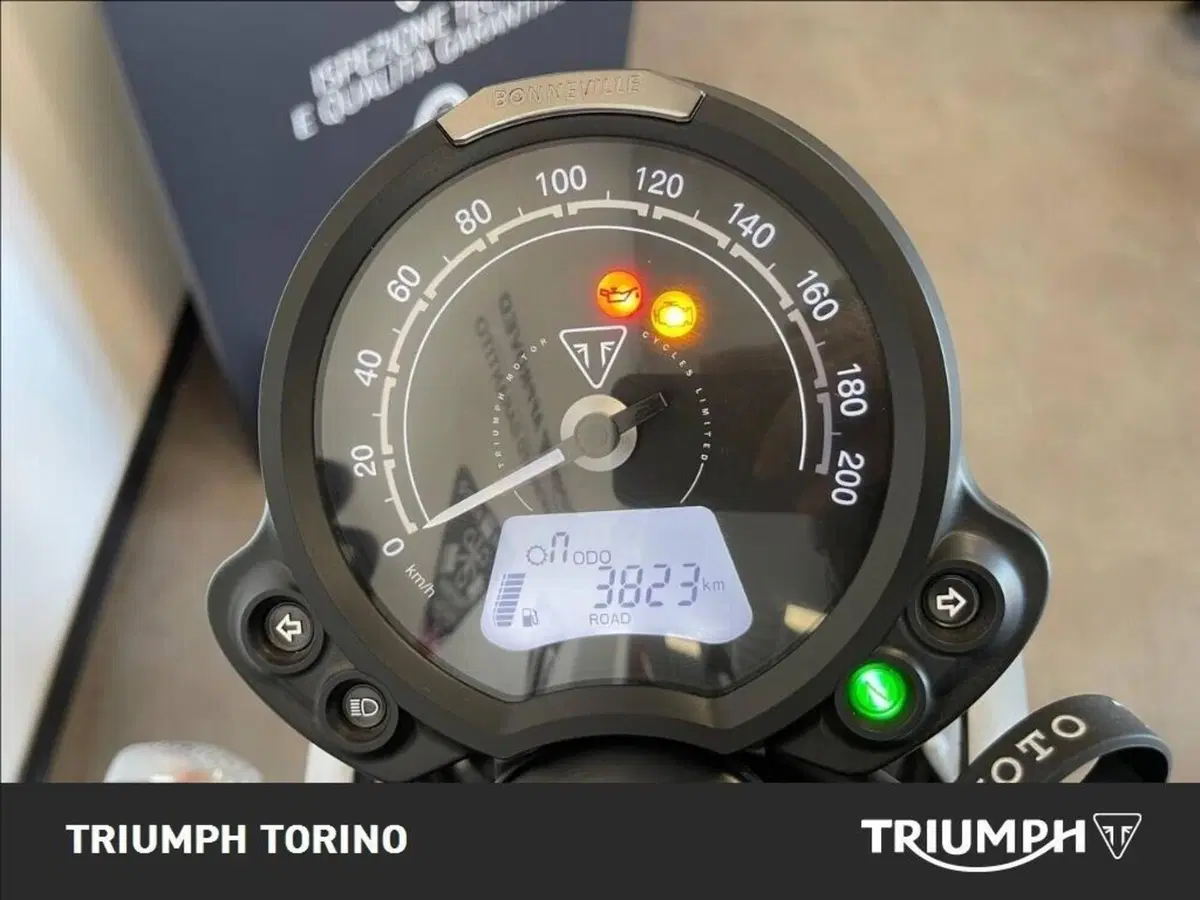 Triumph Speed Twin 900 (2023 - 24) (8)