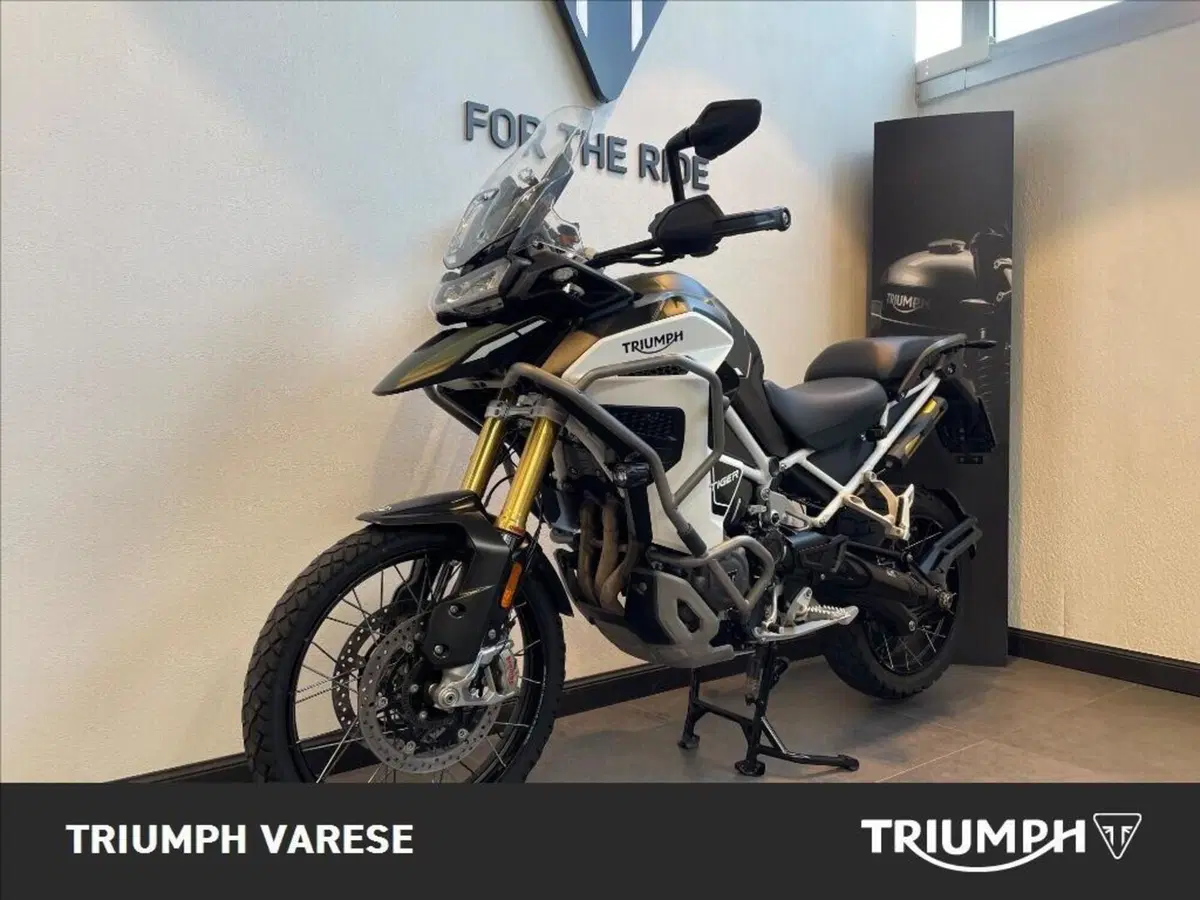 Triumph Tiger 1200 Rally Explorer (2024 - 26) (4)