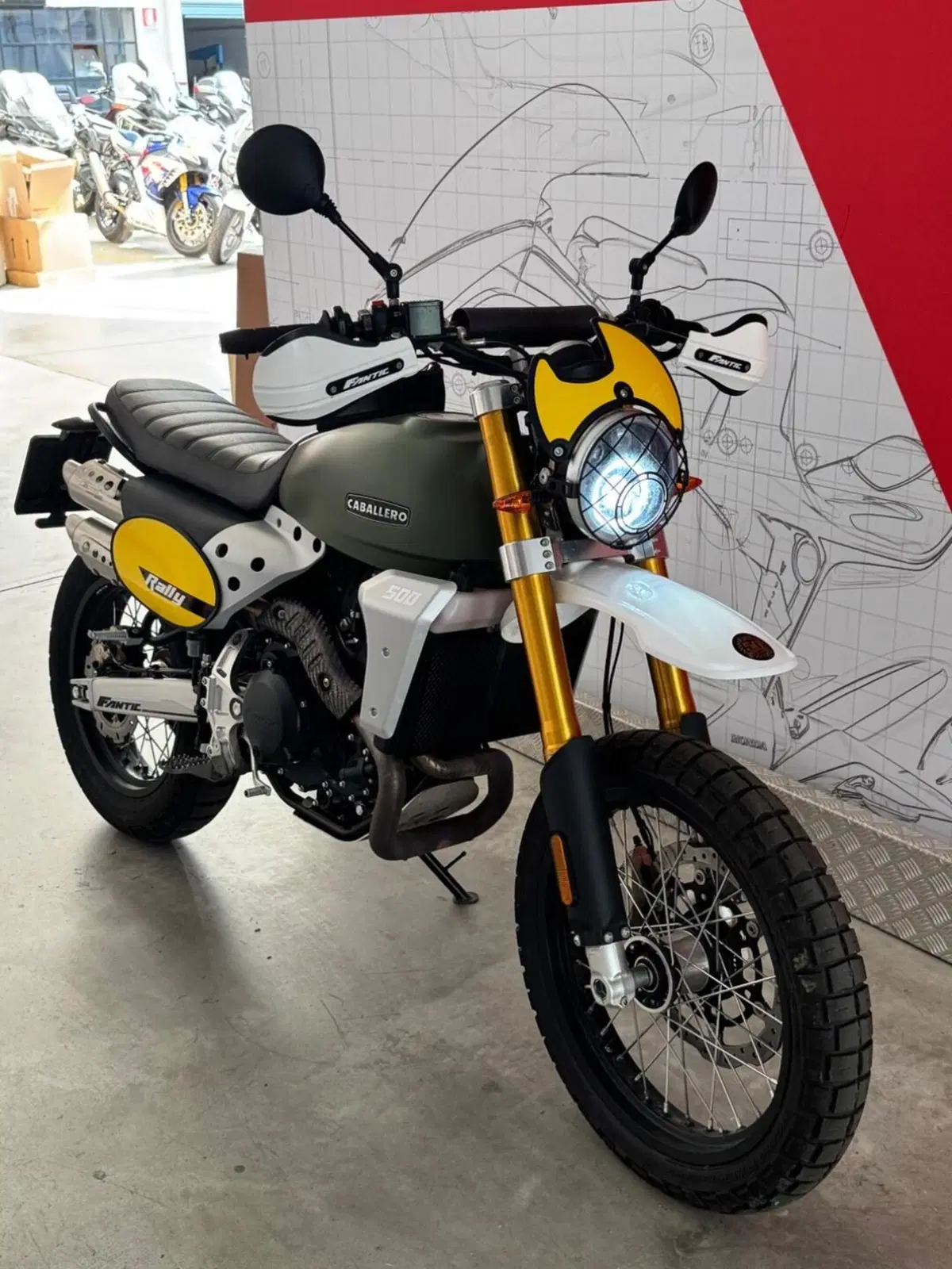 Fantic Motor Caballero 500 Rally 4T (2019 - 21) (3)