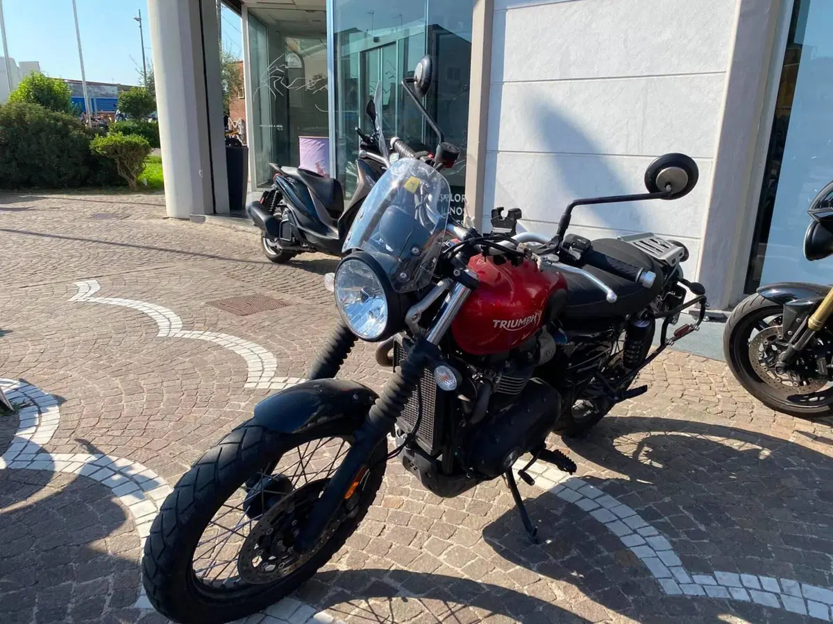 Triumph Street Scrambler 900 (2019 - 20) (4)