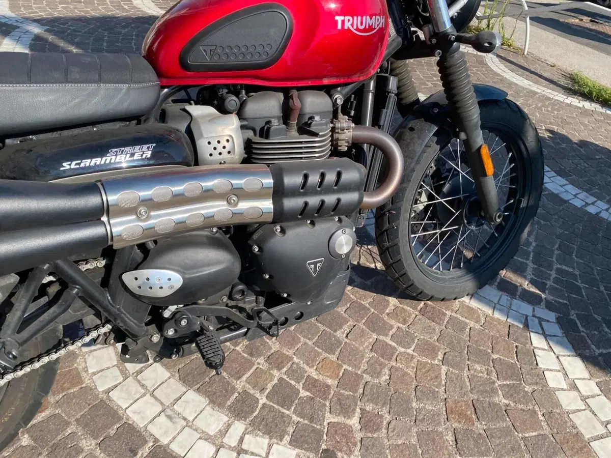 Triumph Street Scrambler 900 (2019 - 20) (6)
