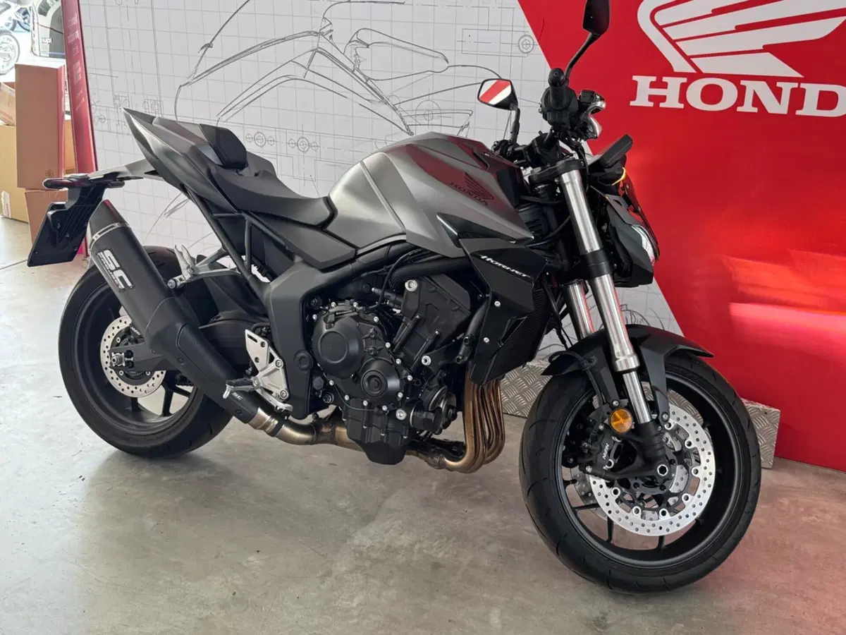 Honda CB 1000 Hornet (2025 - 26) (5)