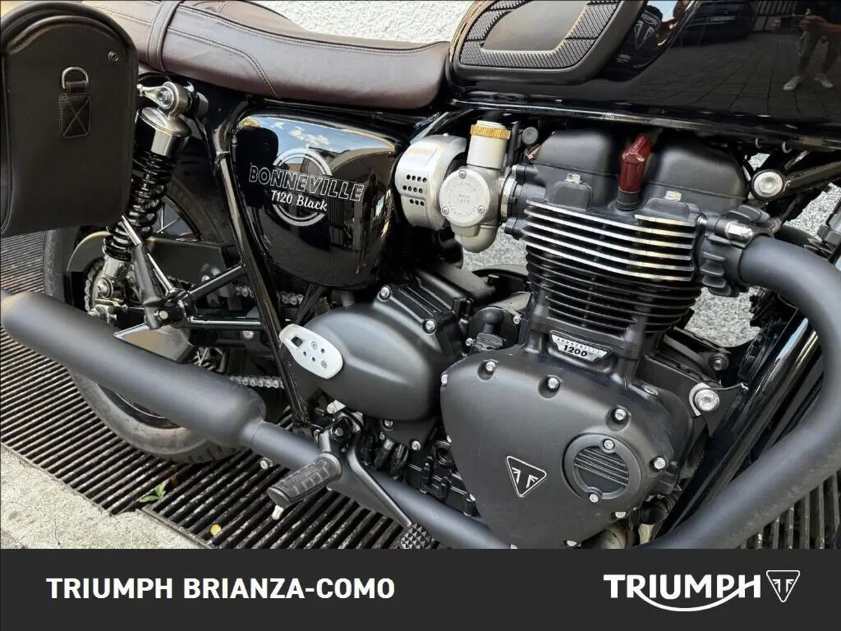 Triumph Bonneville T120 Black (2026) (4)