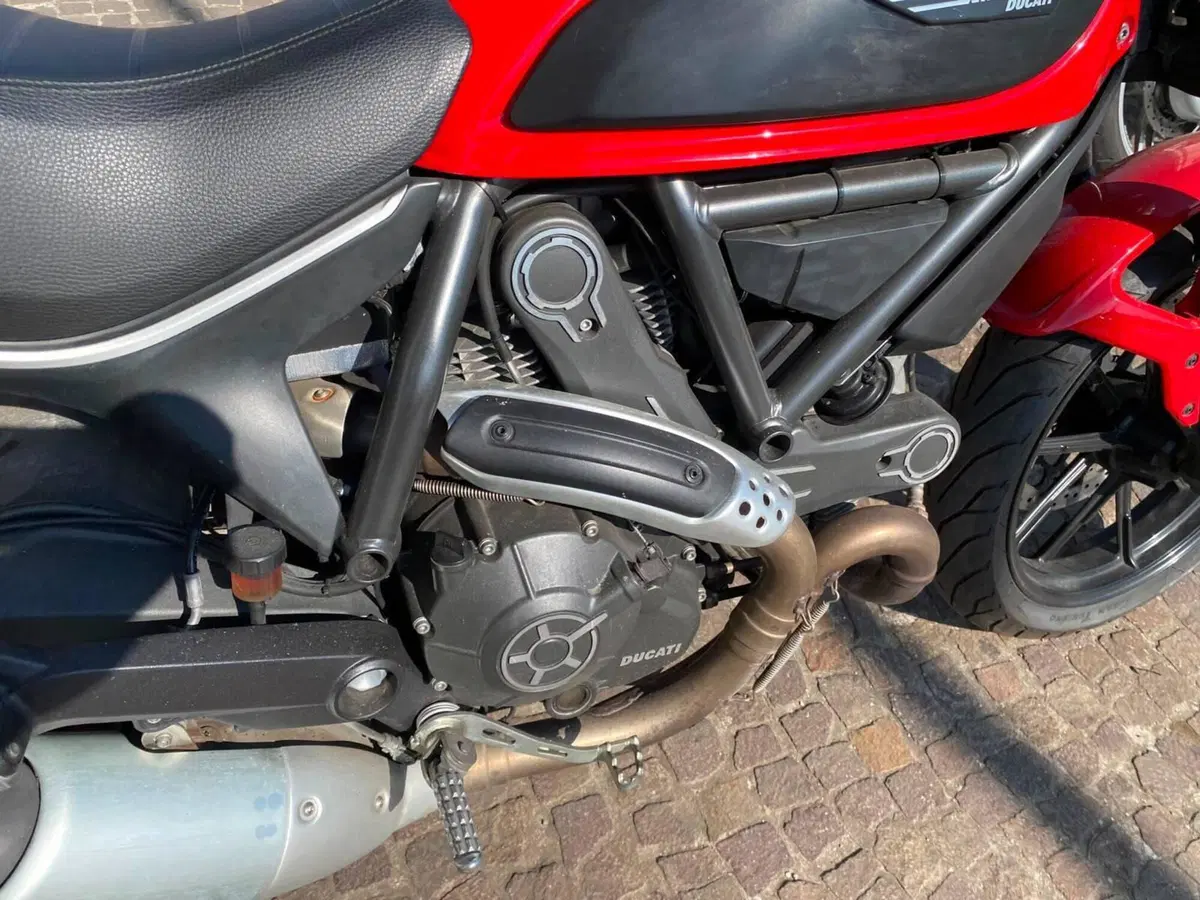 Ducati Scrambler 800 Icon (2015 - 16) (6)