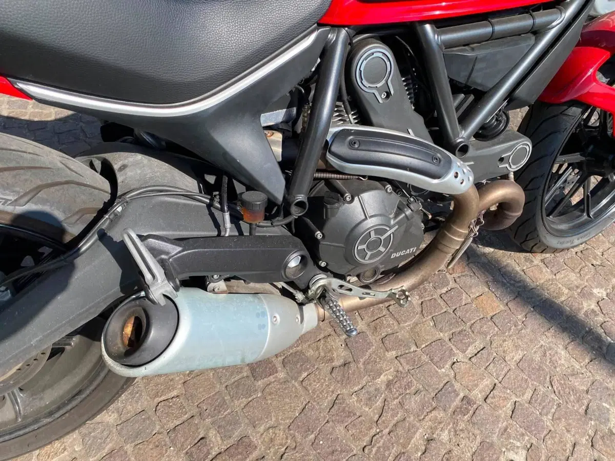 Ducati Scrambler 800 Icon (2015 - 16) (7)