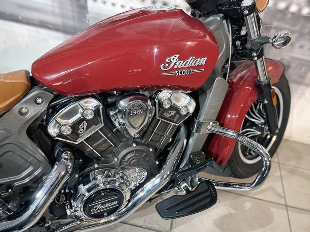 Indian Scout 1133 (2015 - 16) (4)