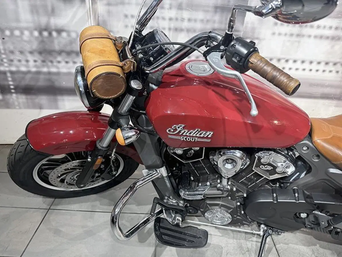 Indian Scout 1133 (2015 - 16) (5)