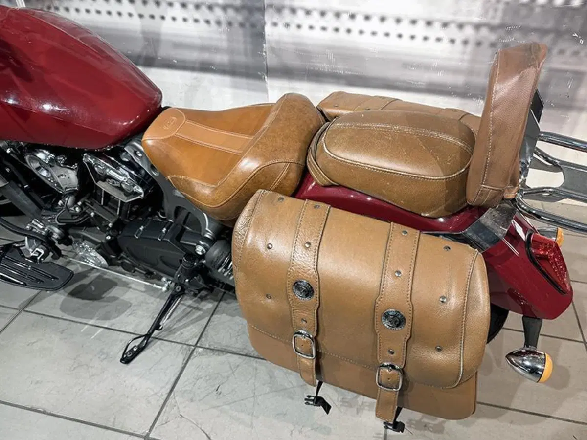 Indian Scout 1133 (2015 - 16) (6)