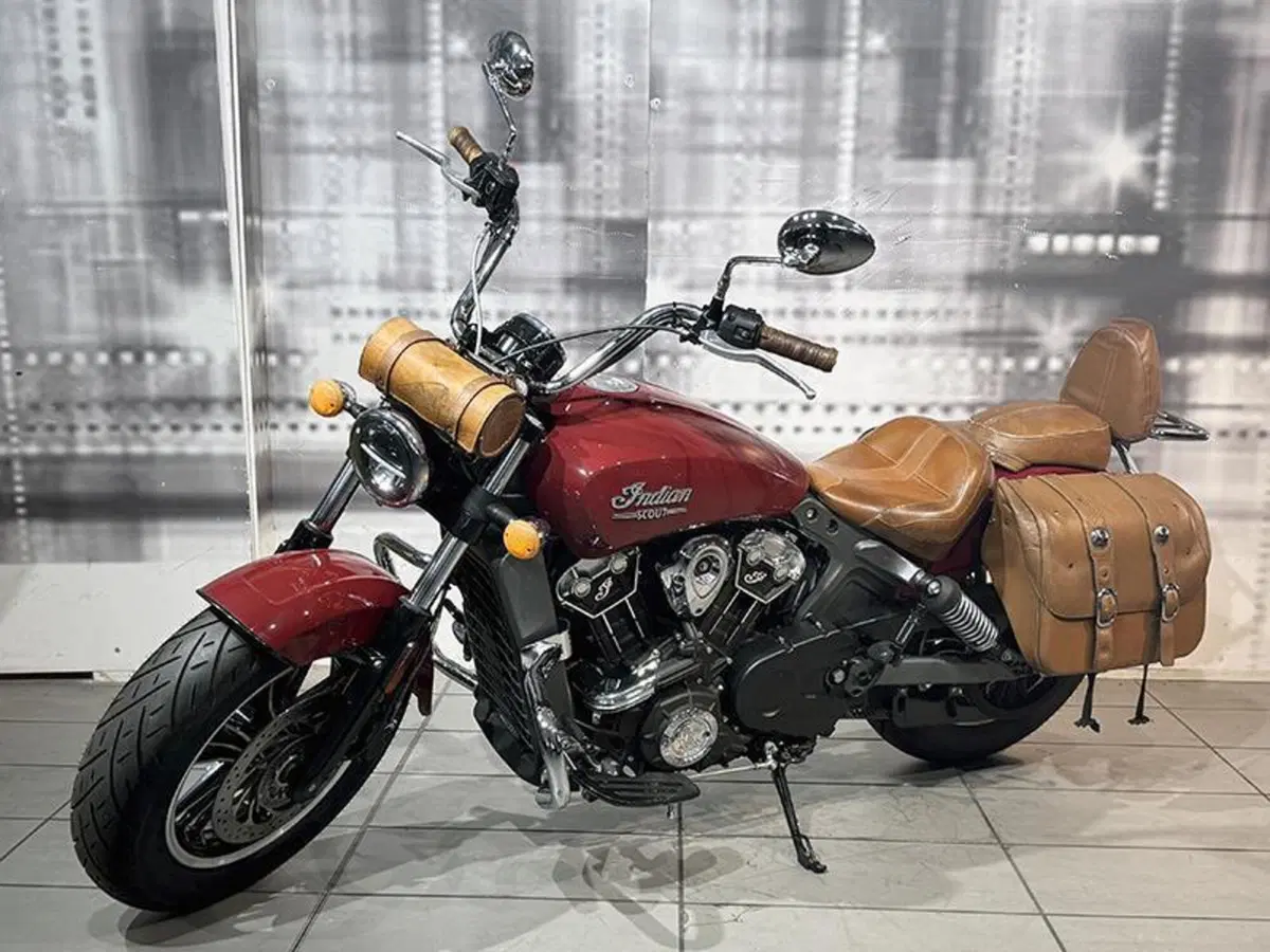 Indian Scout 1133 (2015 - 16) (7)