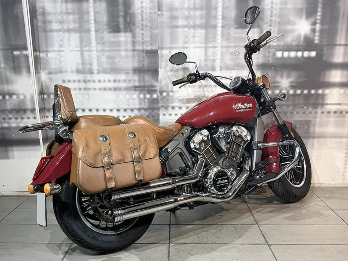 Indian Scout 1133 (2015 - 16) (8)