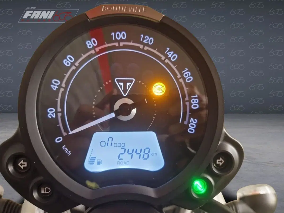 Triumph Scrambler 900 Icon Edition (2025 - 26) (6)