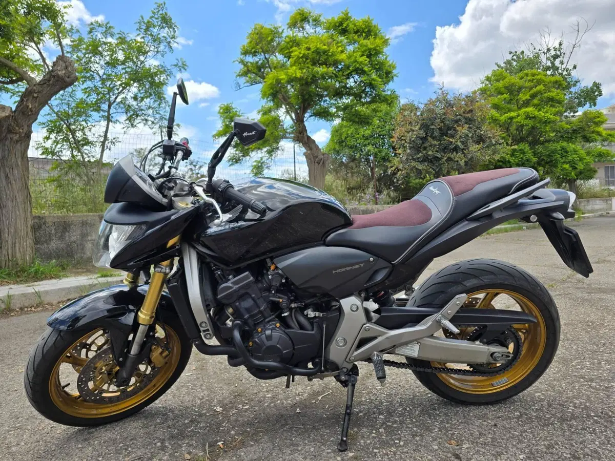 Honda Hornet 600 (2007 - 10)