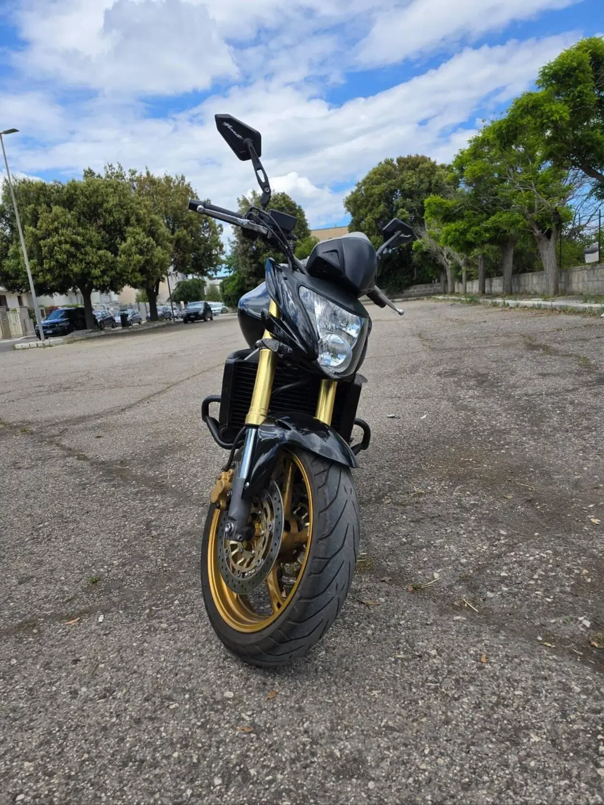 Honda Hornet 600 (2007 - 10) (3)
