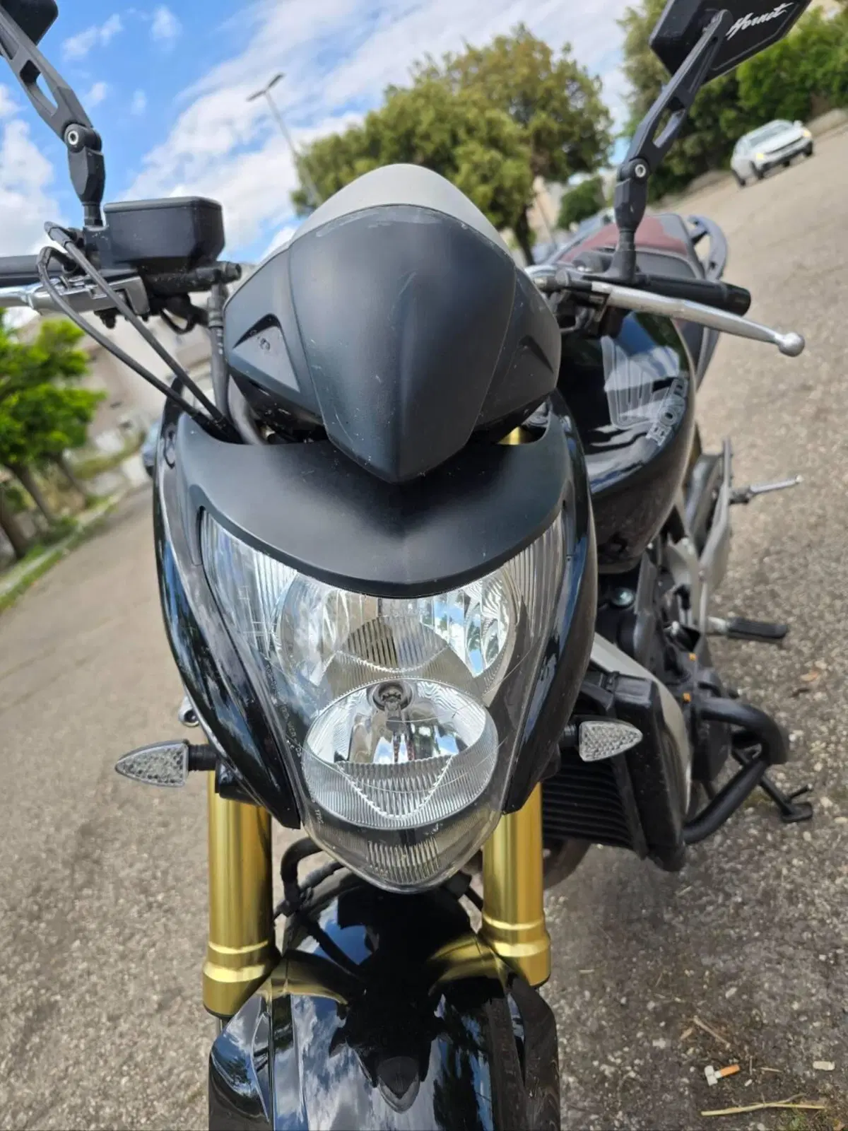 Honda Hornet 600 (2007 - 10) (4)