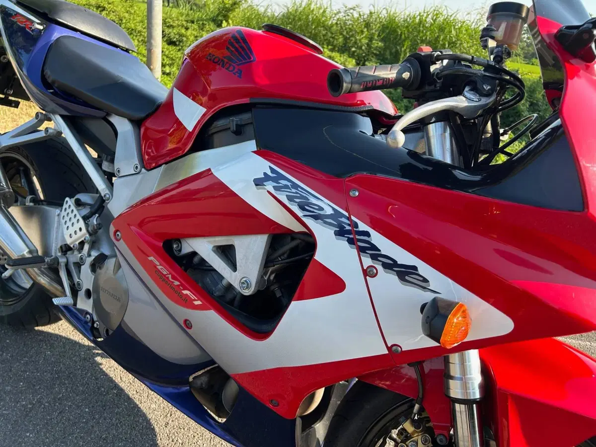 Honda CBR 900 RR Fireblade (2000 - 01) (3)