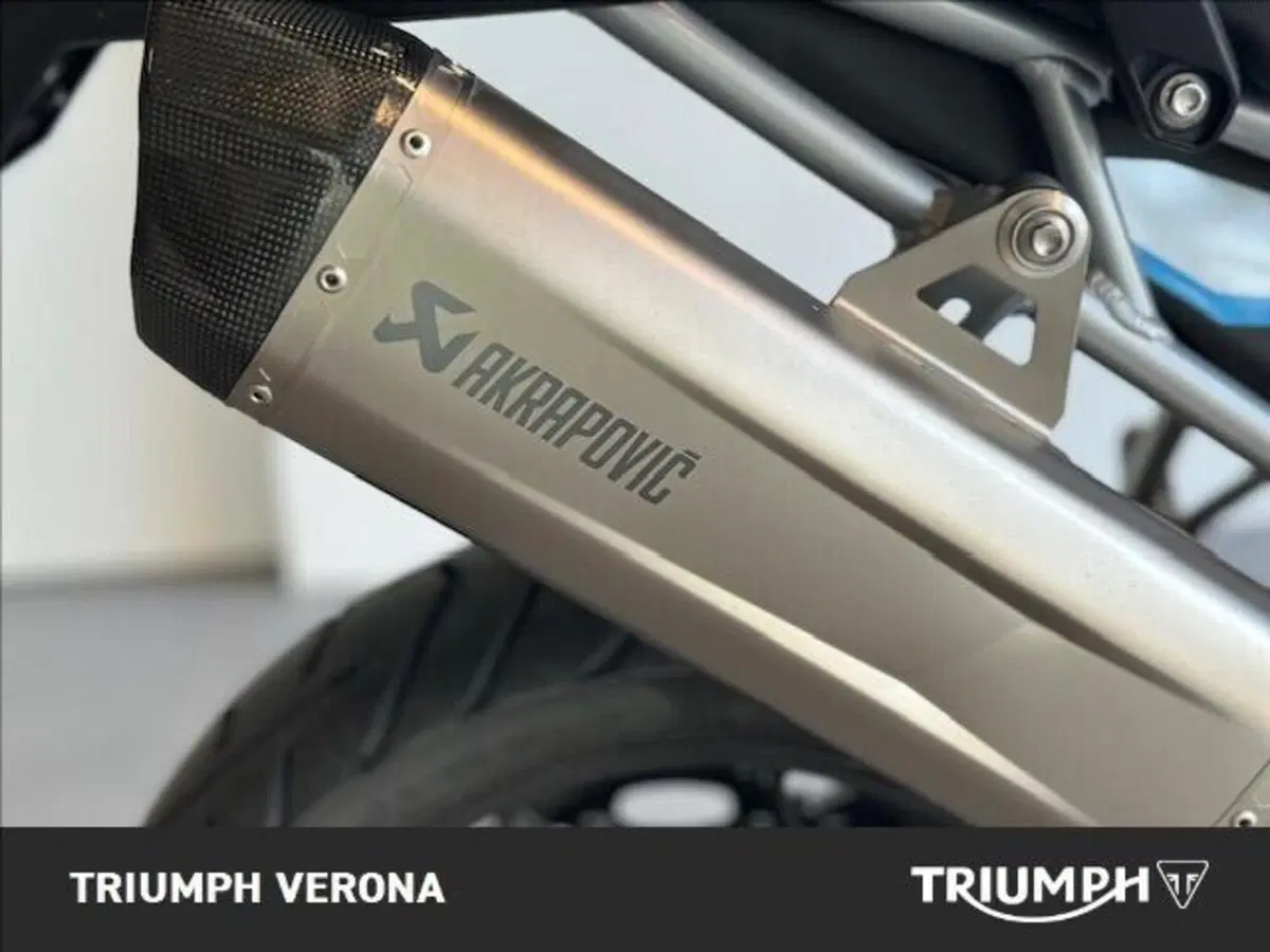 Triumph Tiger 900 Alpine Special Edition (2026) (5)