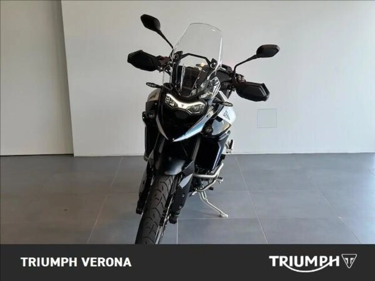 Triumph Tiger 900 Alpine Special Edition (2026) (6)