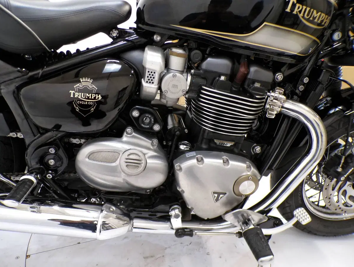Triumph Bonneville Speedmaster 1200 (2018 - 20) (7)