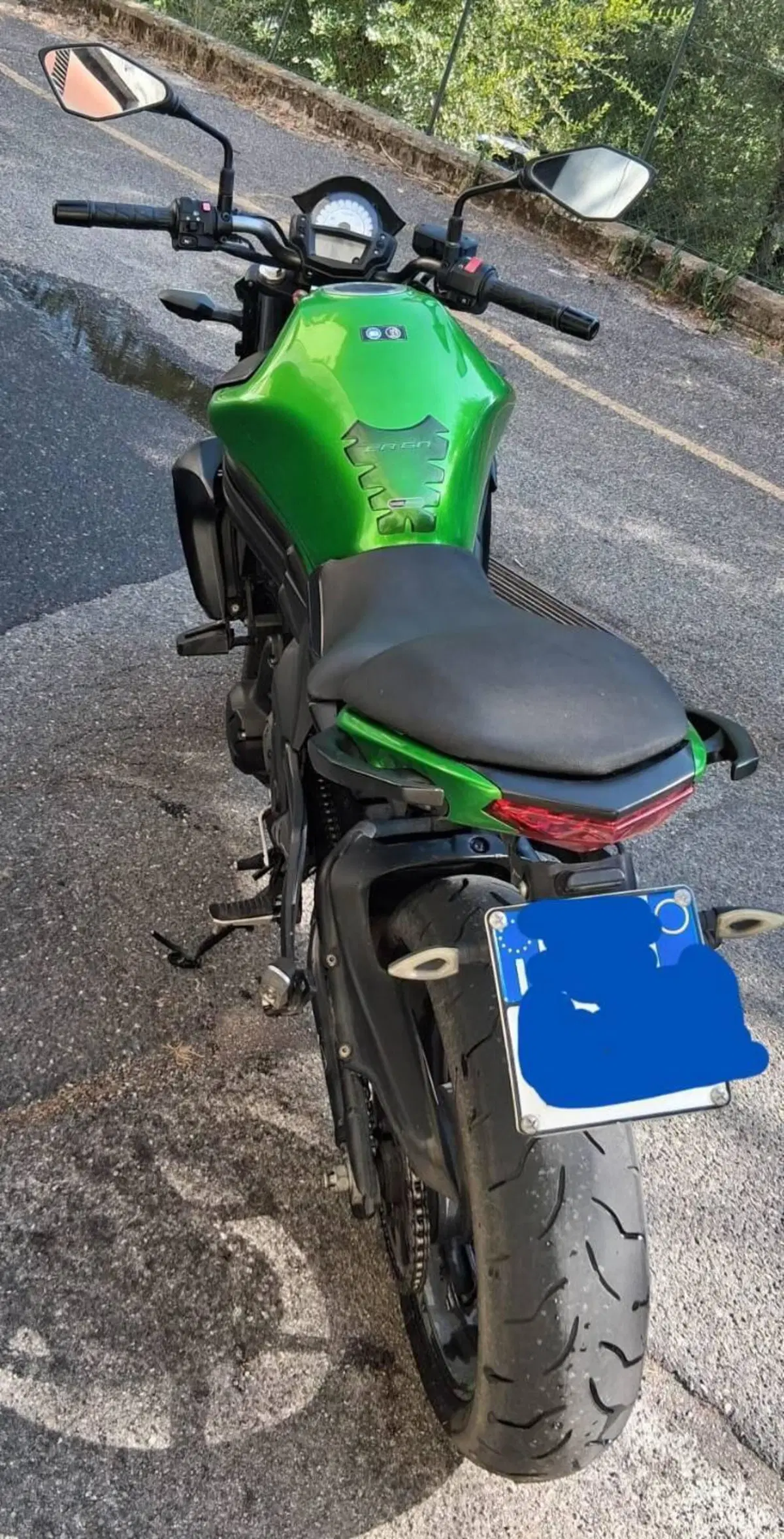 Kawasaki ER-6N ABS (2012 - 16) (2)