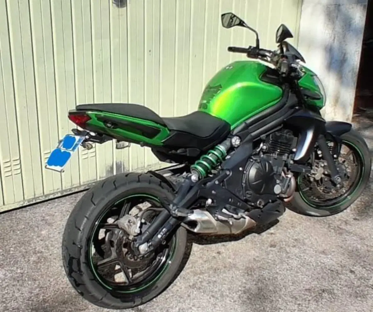 Kawasaki ER-6N ABS (2012 - 16) (5)