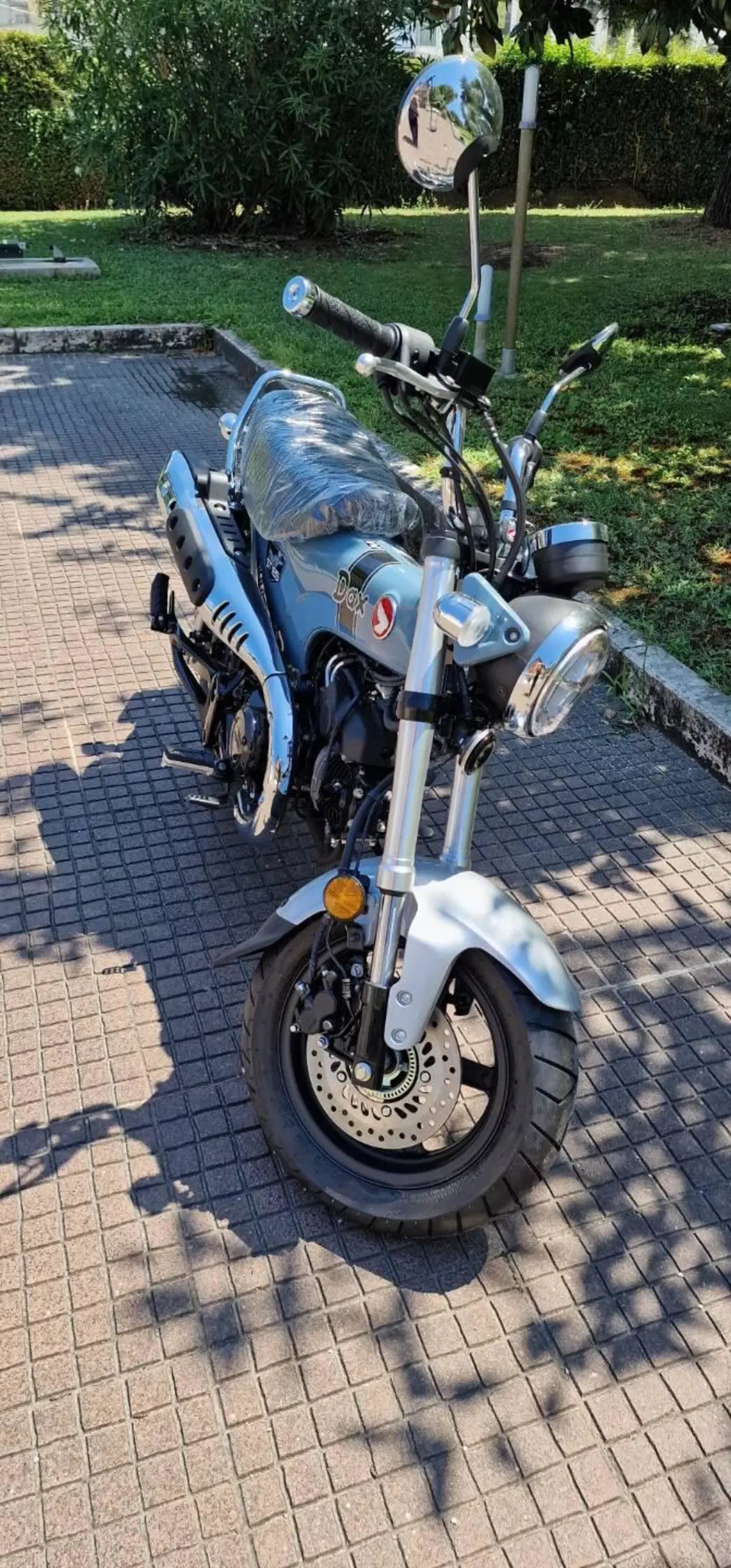 Honda Dax 125 (2025 - 26) (2)