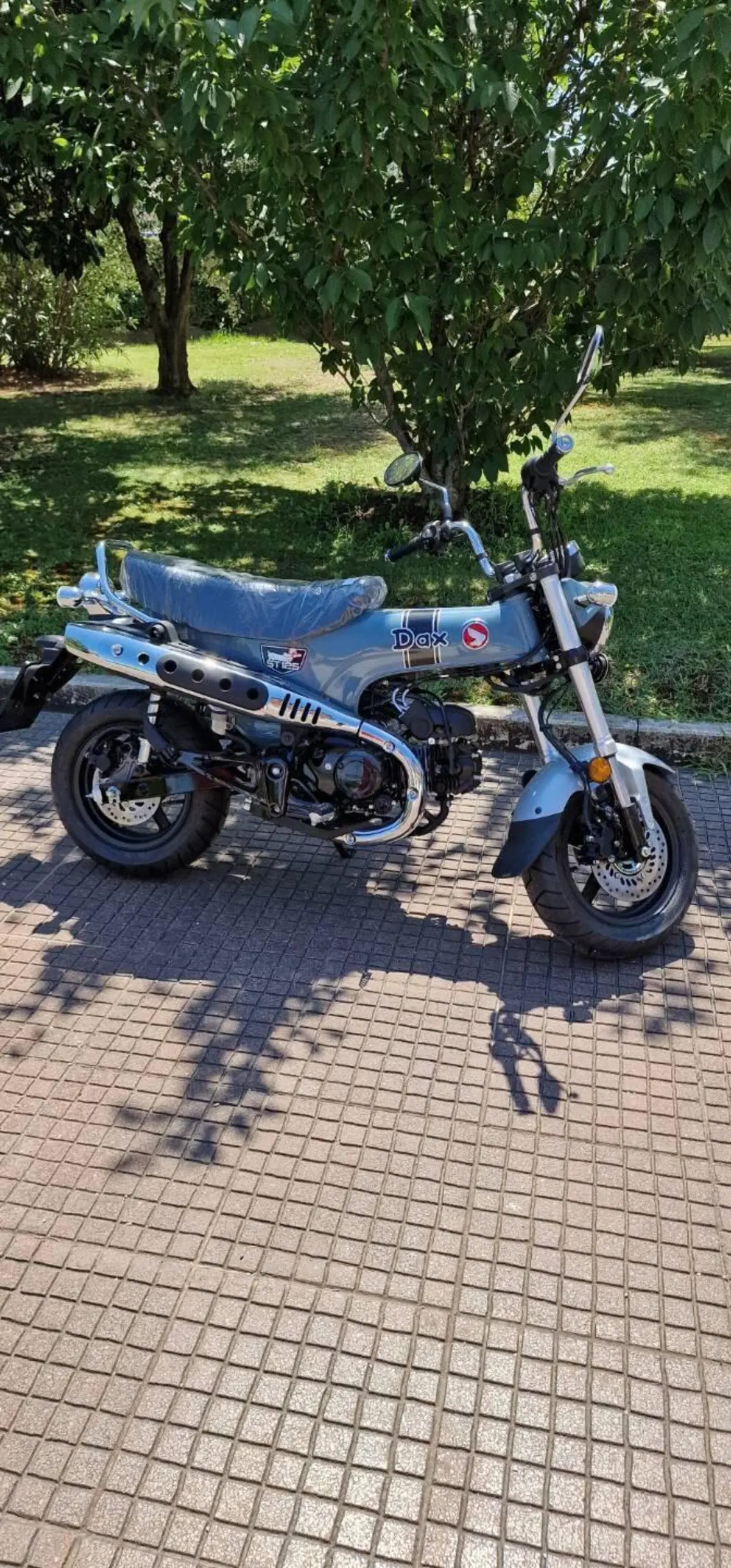 Honda Dax 125 (2025 - 26) (3)