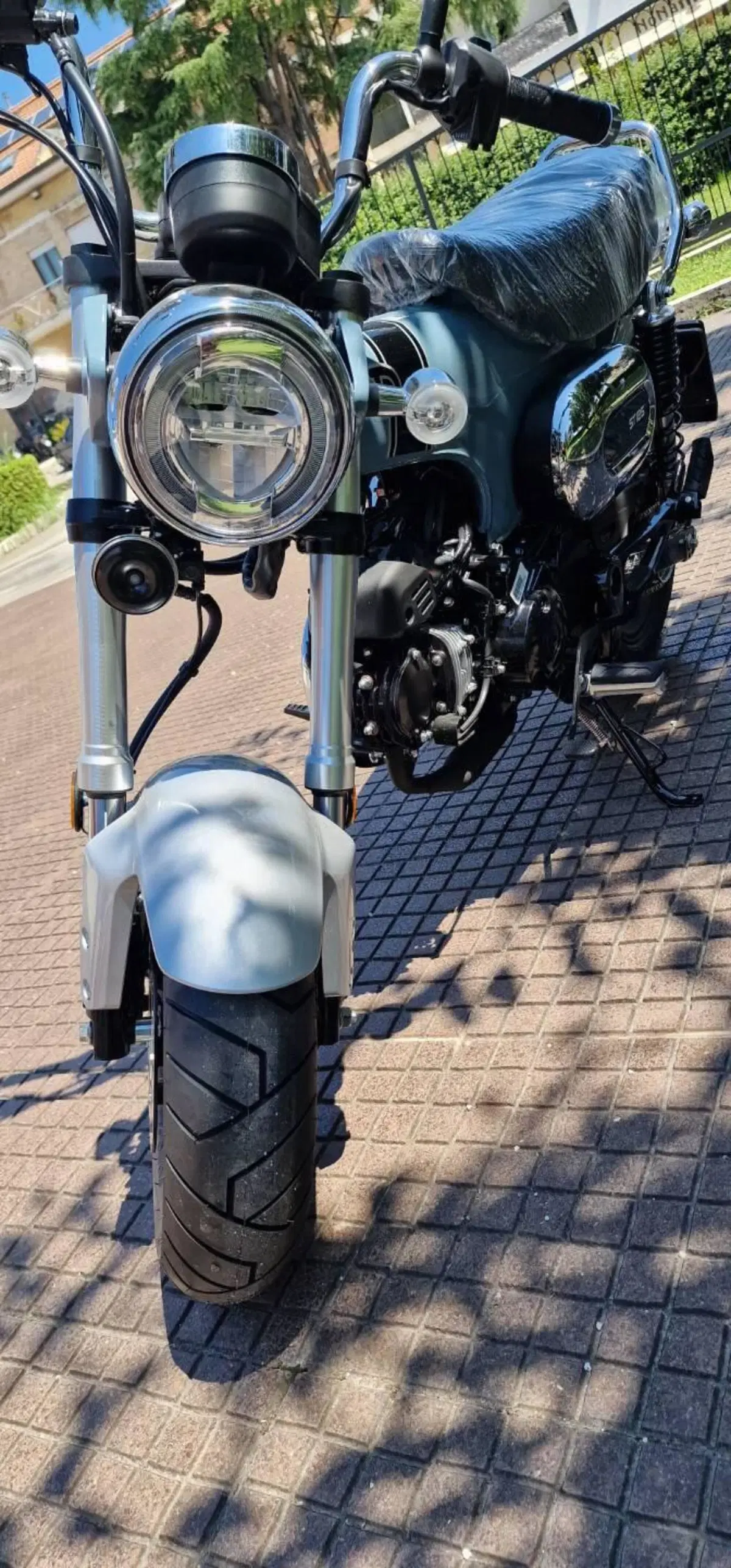 Honda Dax 125 (2025 - 26) (5)