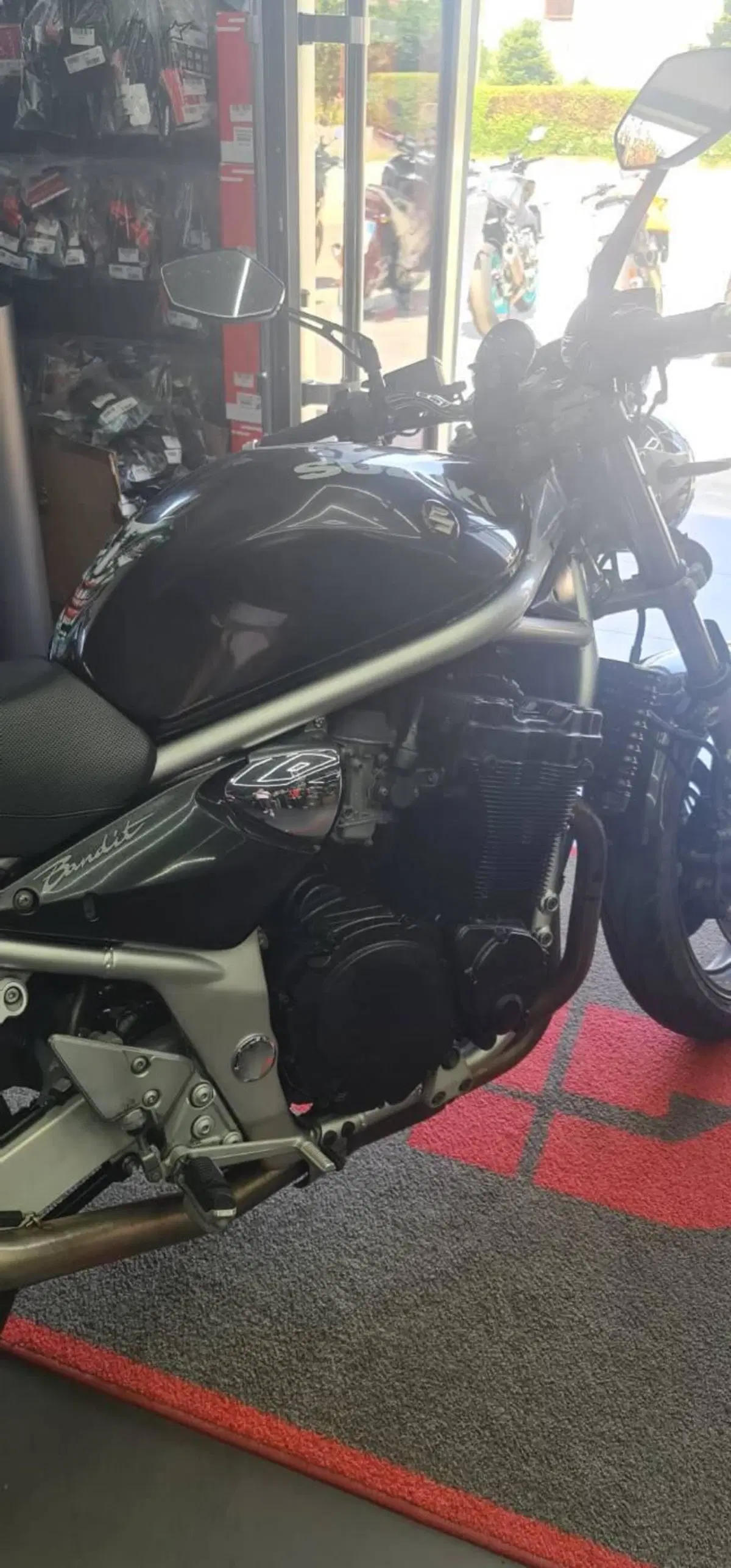 Suzuki GSF 1200 Bandit S (2001 - 06) (7)