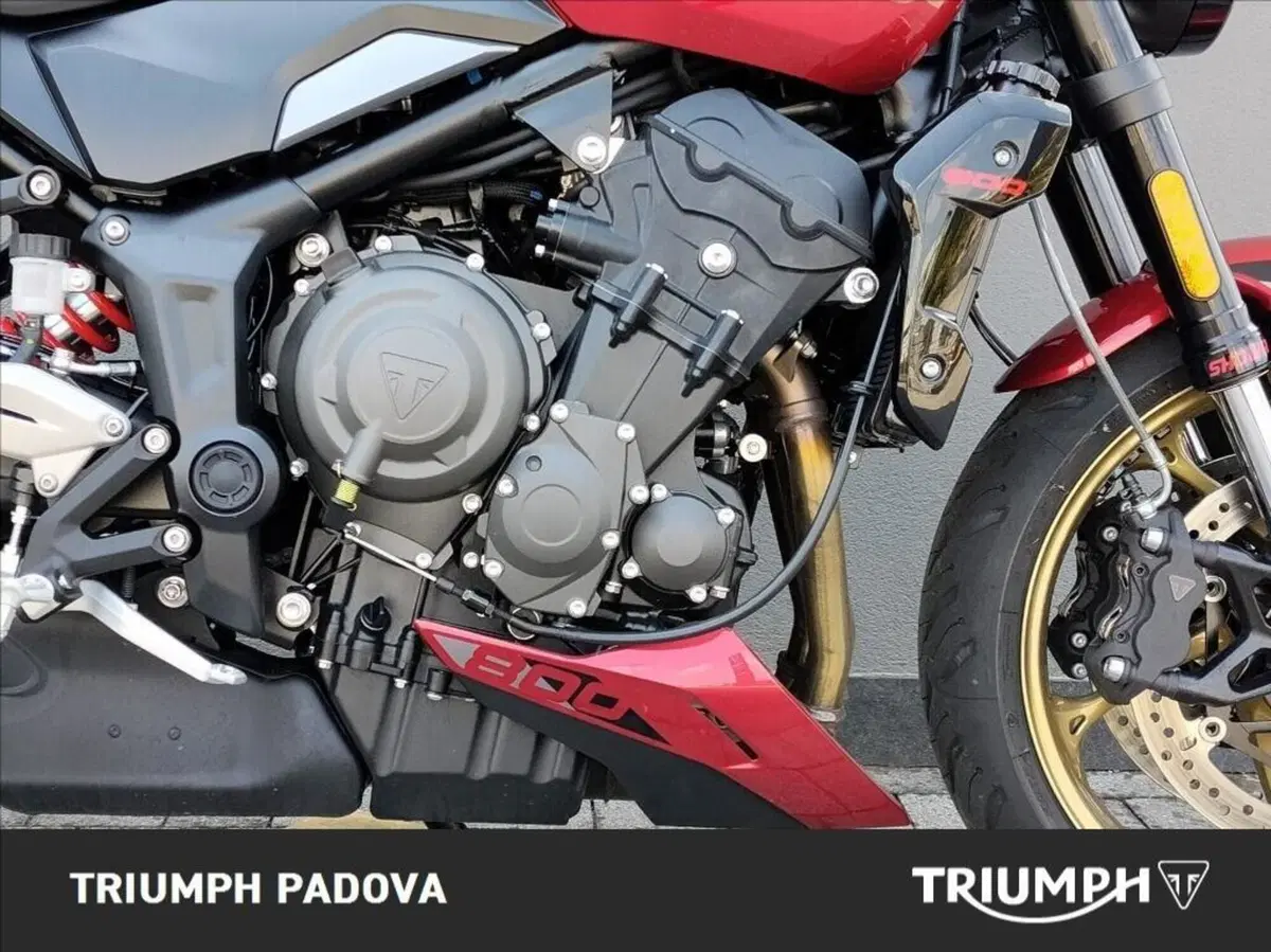 Triumph Trident 800 (2026) (3)