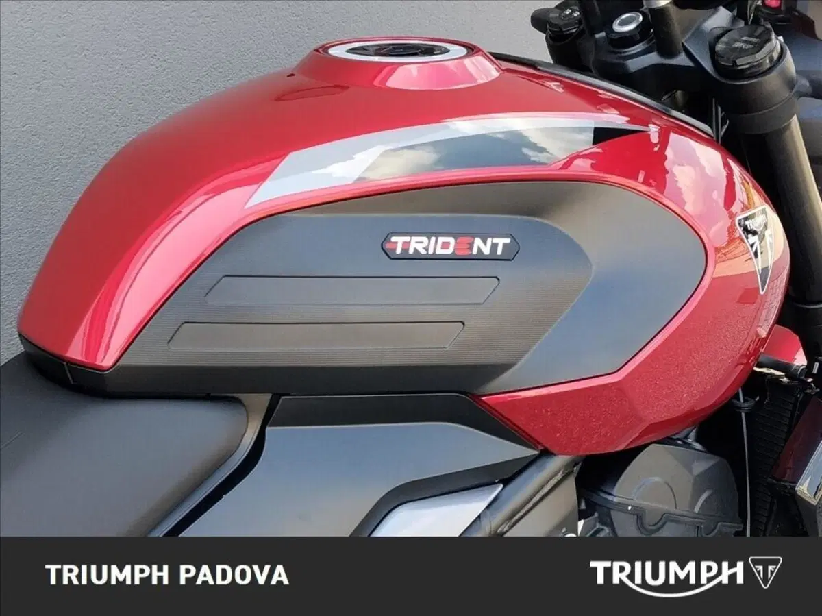 Triumph Trident 800 (2026) (4)