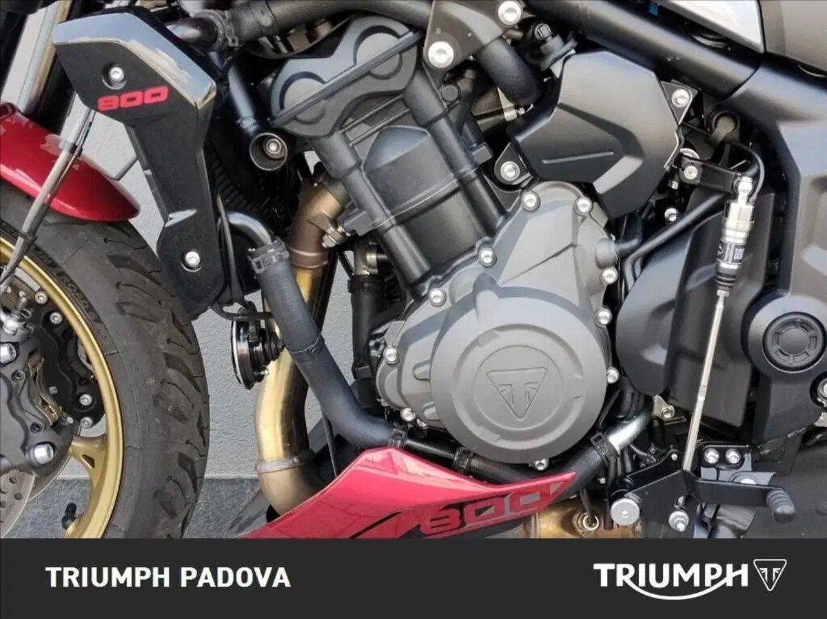 Triumph Trident 800 (2026) (8)