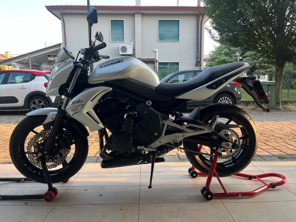 Kawasaki ER-6N (2009 - 11) (2)