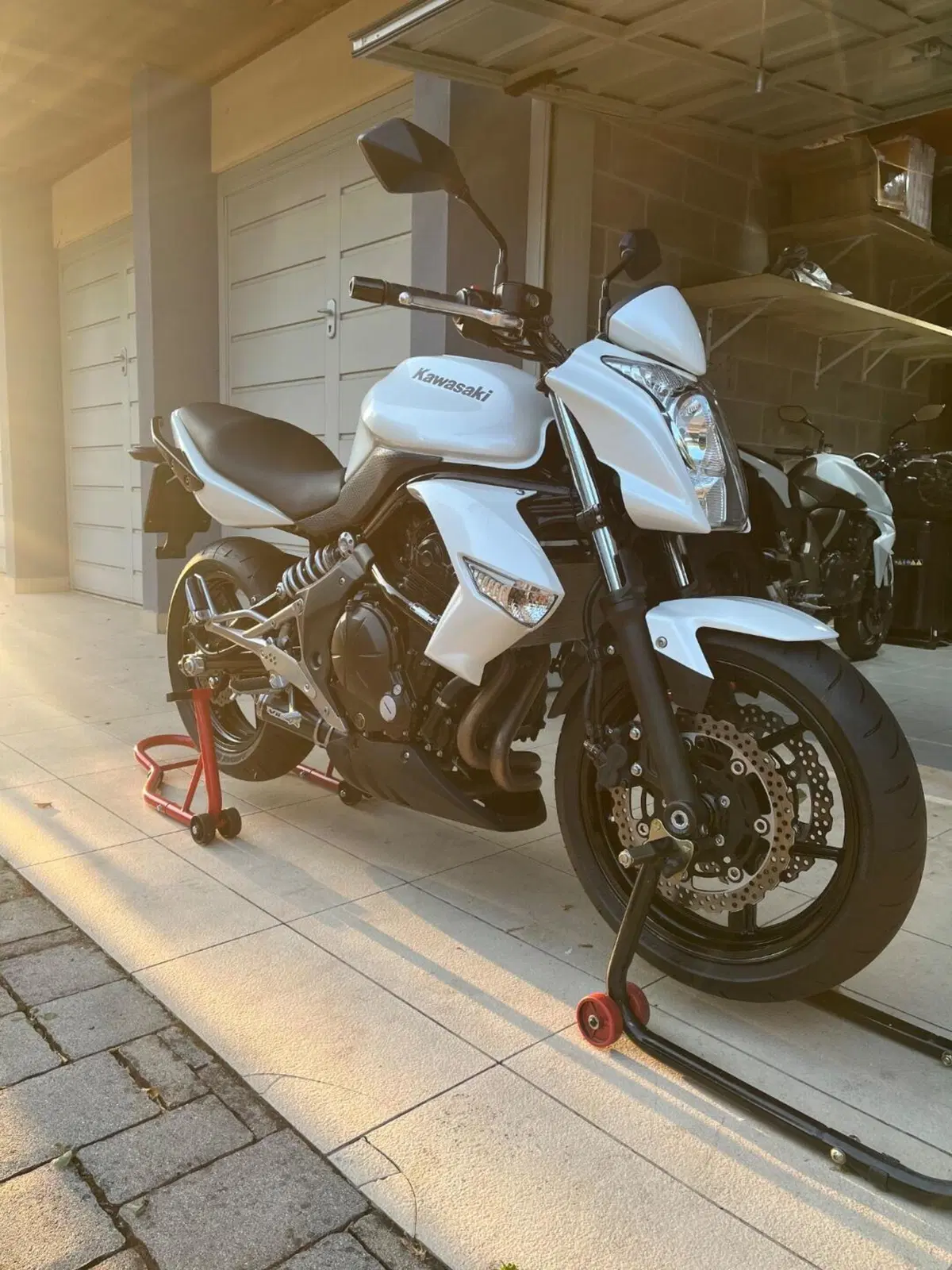 Kawasaki ER-6N (2009 - 11) (5)