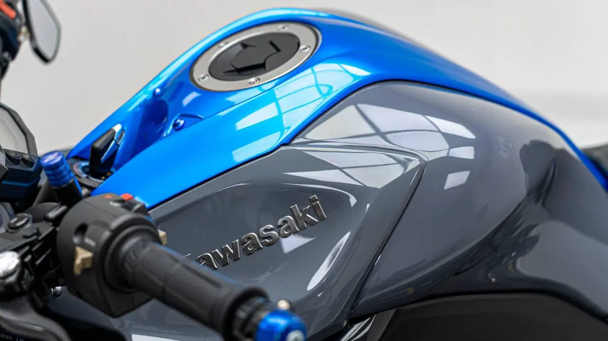 Kawasaki Z 1000 (2017 - 20) (12)