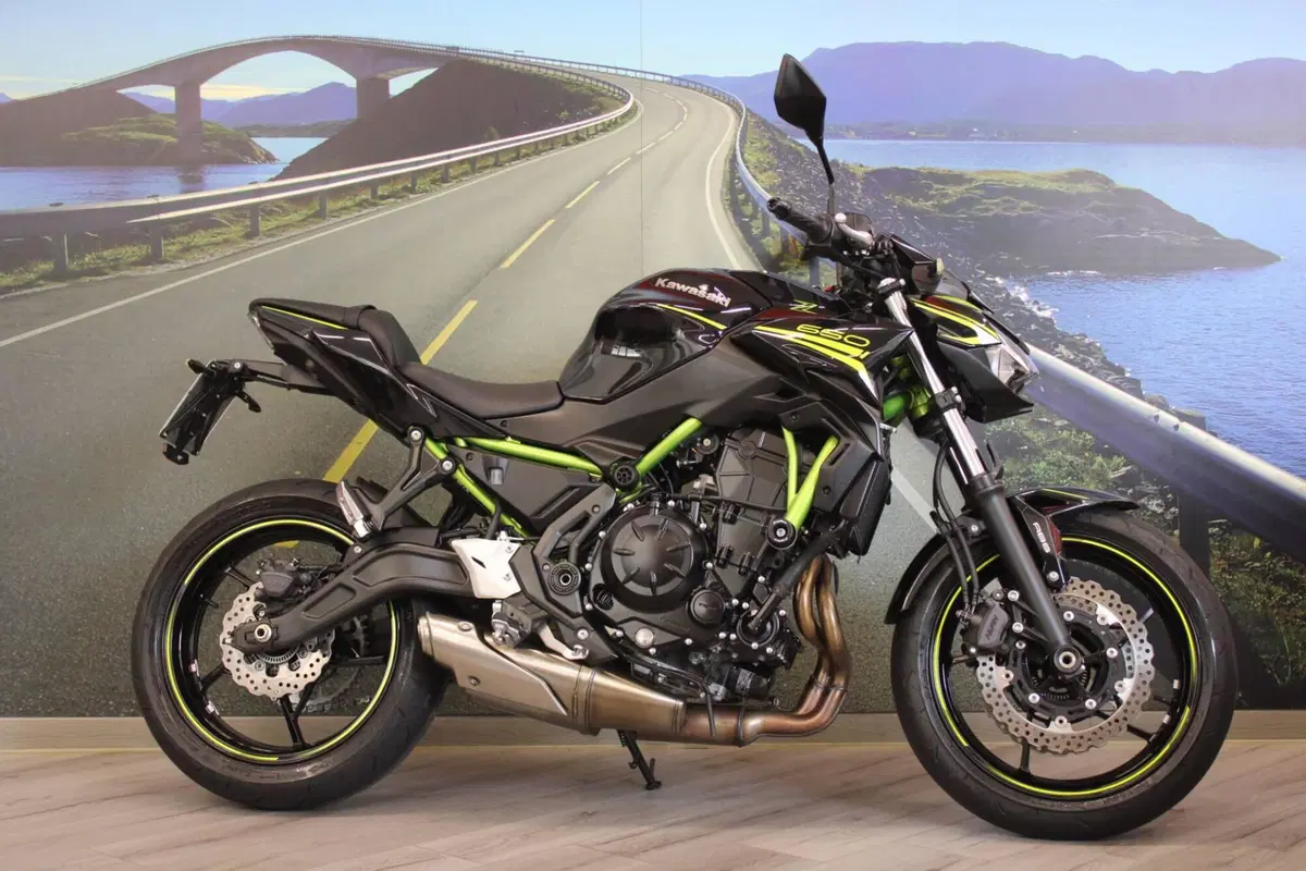 Kawasaki Z 650 (2020) (5)