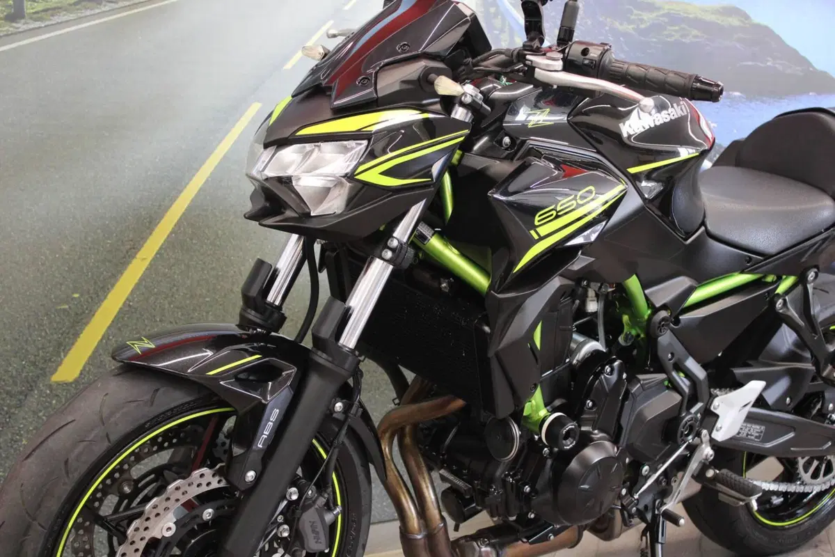 Kawasaki Z 650 (2020) (8)