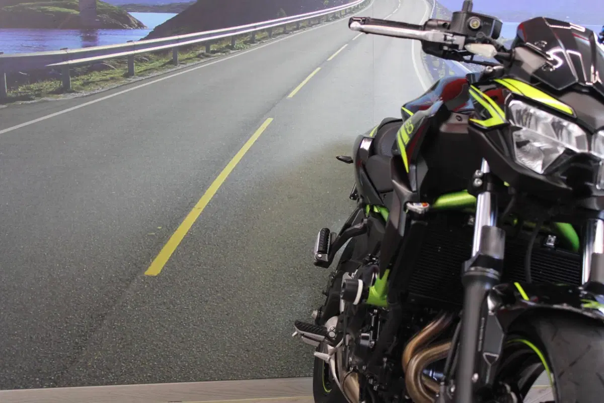 Kawasaki Z 650 (2020) (10)