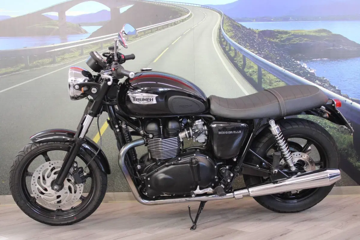Triumph Bonneville T100 (2008 - 16) (7)